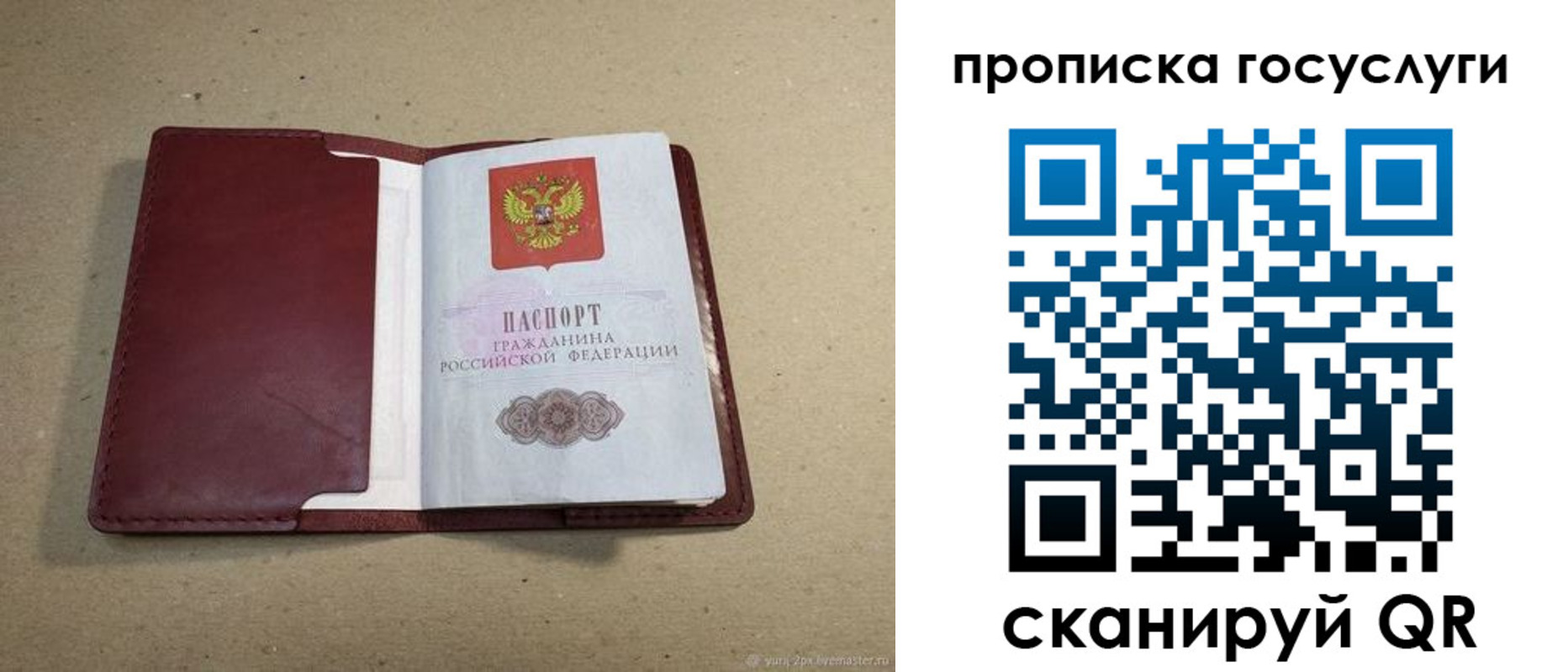 прописка поиск в Алагире